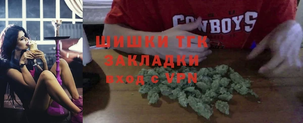 дживик Новозыбков