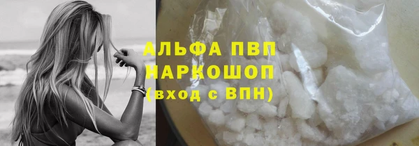 дживик Новозыбков