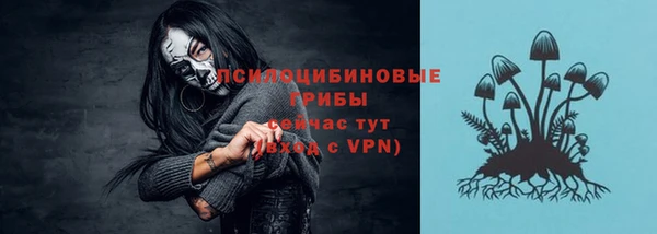 дживик Новозыбков