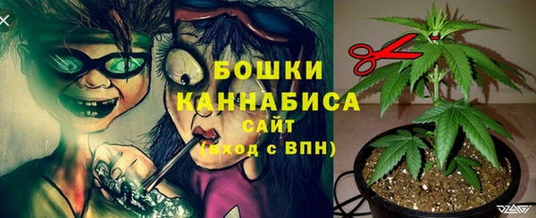 дживик Новозыбков